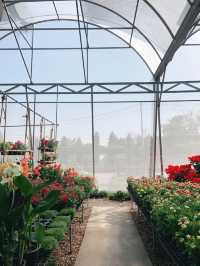 AGA Happy farm สวนดอกไม้แม่แตง เชียงใหม่