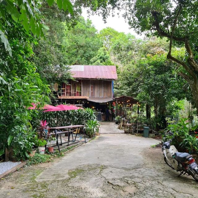 Tropical Spice Garden