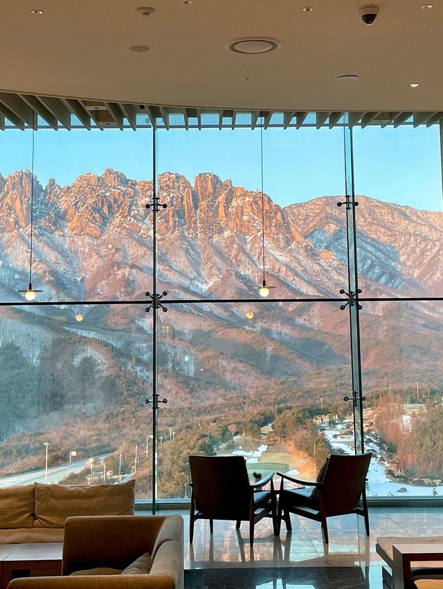 요즘 가장 핫한 한국의 스위스, 울산바위뷰 카페 🏔️🤍