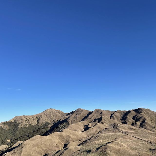 Majestic Mt Pulag 