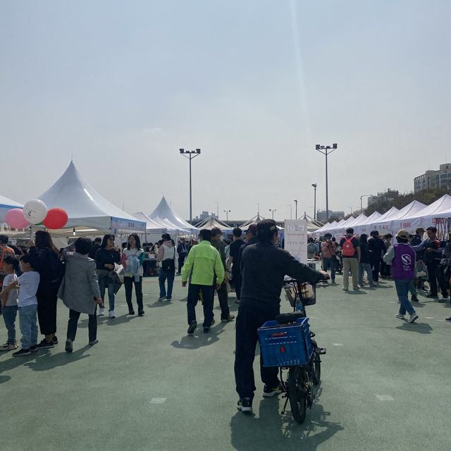 산책하며 즐기는 서울 벚꽃축제, 중랑천 벚꽃길❤️