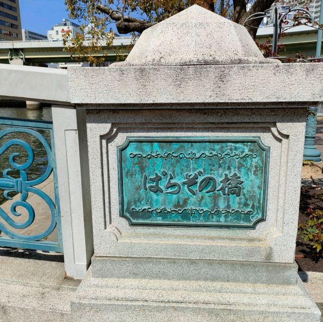 【大阪 中之島】満開のバラ園✨