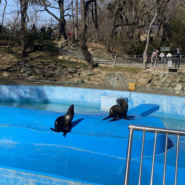 대구 아이와 함께 가볼만한 곳, 달성공원 동물원