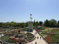 Japan Tulip Fair 