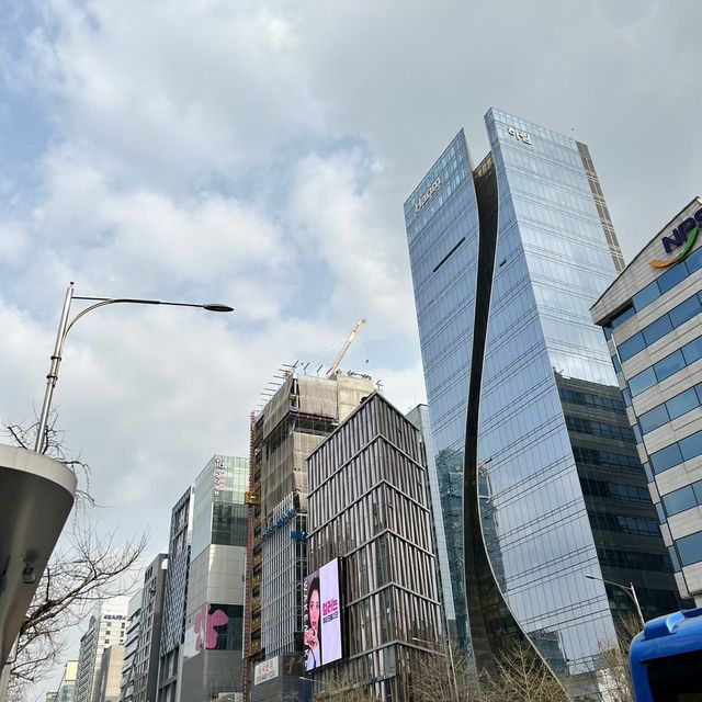 【韓国 新沙】韓国人に大人気チヂミと○○マッコリ