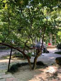 Lam Kinh ancient citadel, Thanh Hoa