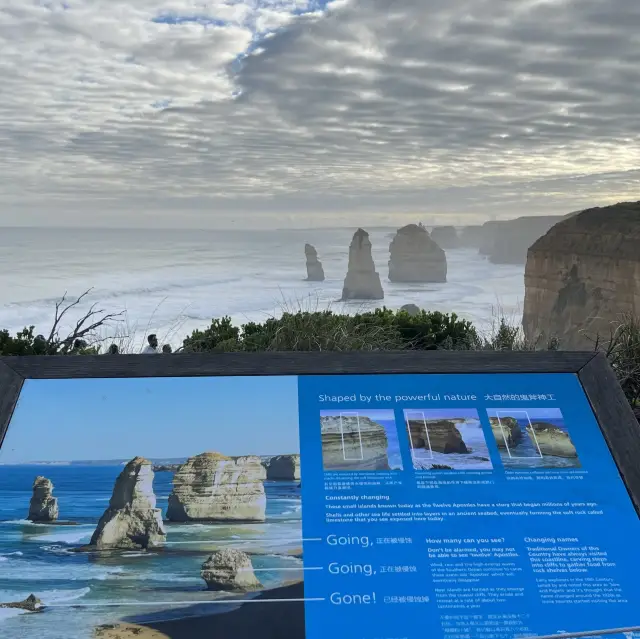 Twelve apostles - Great Ocean Road Drive