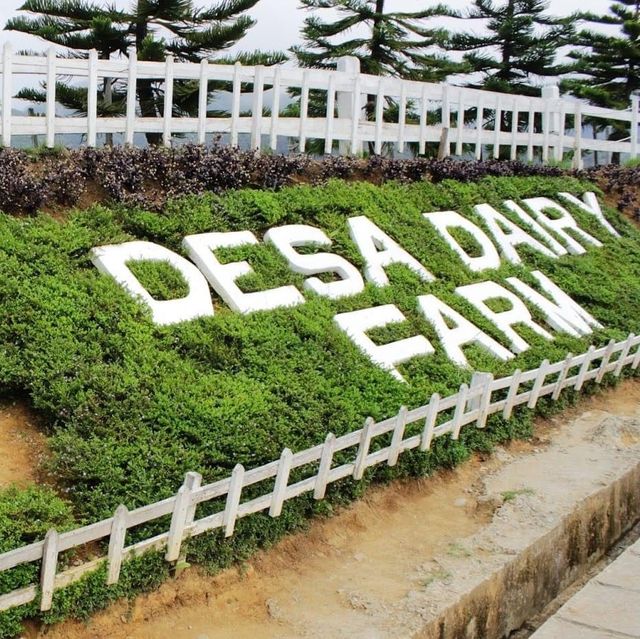 Desa Dairy Farm, Sabah