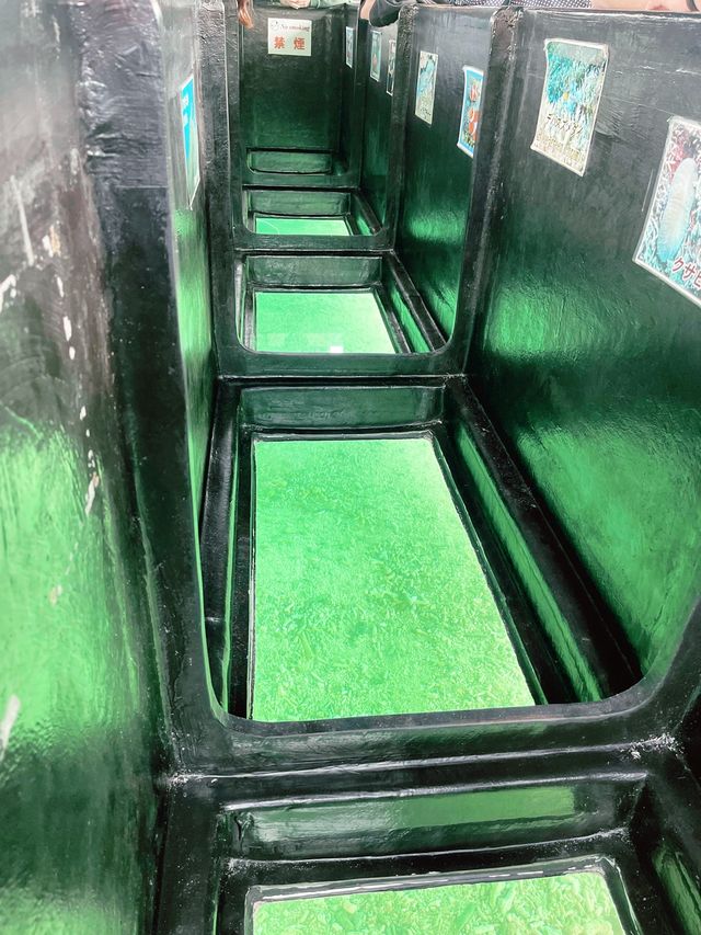 【川平湾グラスボート乗船体験】