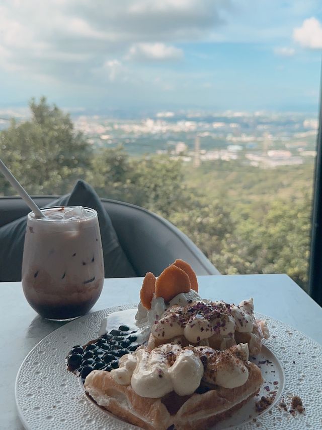 貓禾景觀咖啡☕️桃園龍潭⭐️貓咖⭐️網美裝潢