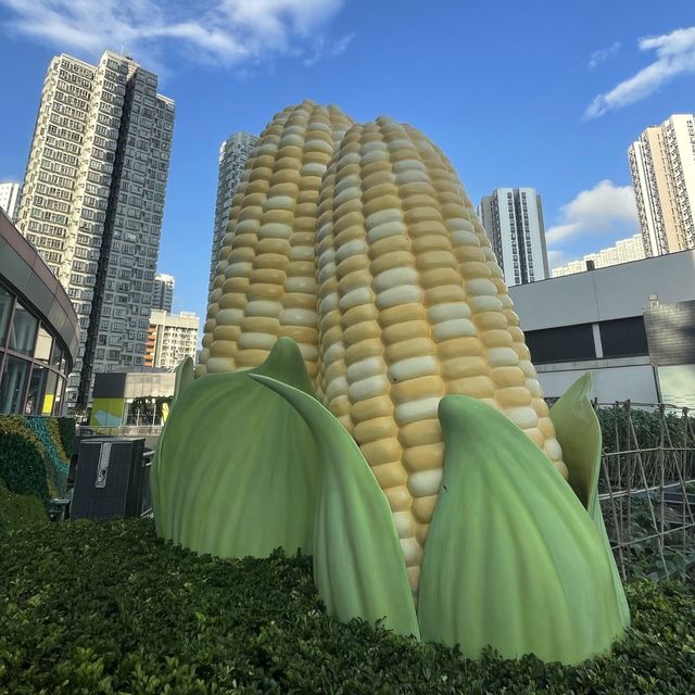 都市中既一點綠洲