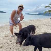 เกาะมัดสุม หรือ "เกาะหมูเมืองไทย” 