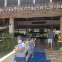 เรียนรู้สัตว์น้ำทะเล @สถาบันวิทยาศาสตร์ทางทะเล 