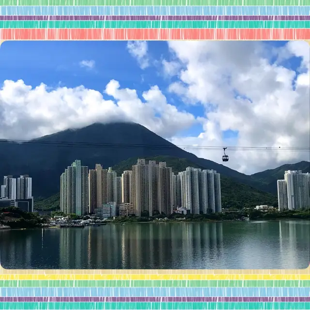 港珠澳大橋🌉盡覽香港美景