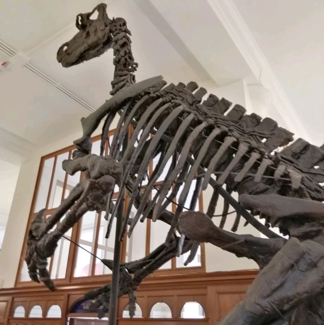 A Fascinating Journey through History and Academia: Exploring Cambridge's Museums, King's College, and the Picturesque River