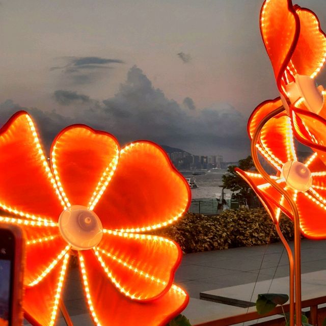 Let Your Lantern Shine Bright🤩