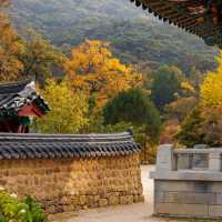 Beautiful Autumn View of Beopjusa Temple
