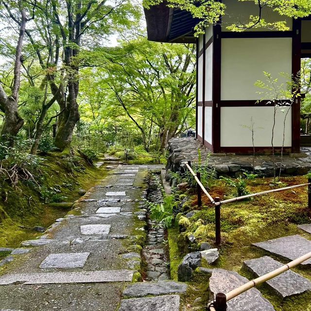 常寂光寺!!尋找內心寧靜的放鬆🌸🏯 