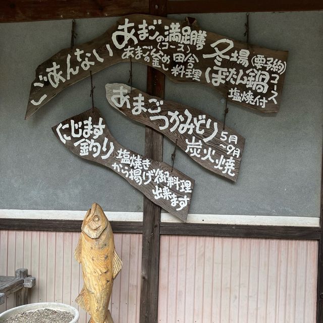 兵庫・丹波　あまごつかみ取りからのあまご尽くし