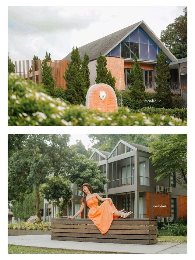 ให้ดอกไม้และขุนเขาโอบกอดเราที่ "Flora Creek"