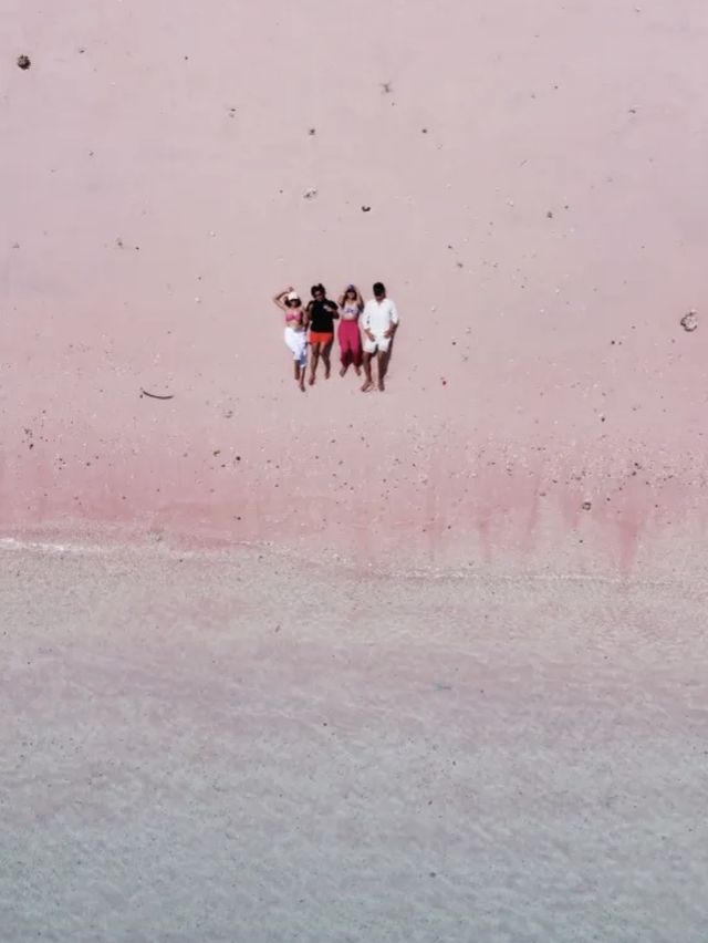 ย้อนเวลาไปอินโดเดือนธันวา : Pink Beach