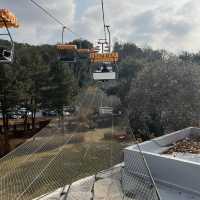 Huge zoo in Seoul
