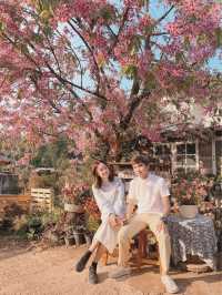 🌸โปโป ปิงปิง ร้านกาแฟสไตล์ญี่ปุ่นน่ารักๆ🌸