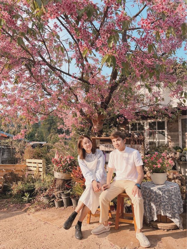 🌸โปโป ปิงปิง ร้านกาแฟสไตล์ญี่ปุ่นน่ารักๆ🌸