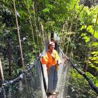 BREATHTAKING TREETOP WALK