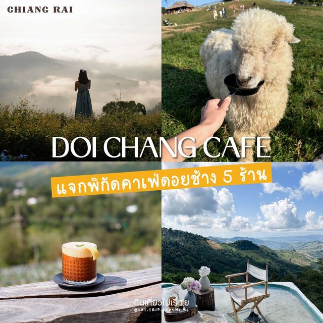 ☕️ปักหมุด 5 คาเฟ่ ดอยช้าง ก่อนหมดหนาวต้องไปให้ครบ