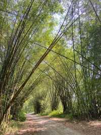 A good Nature Wanderlust 