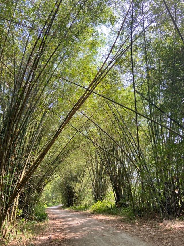 A good Nature Wanderlust 