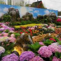 香港花卉展覽2023