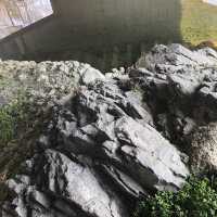 【高麗郷古民家】