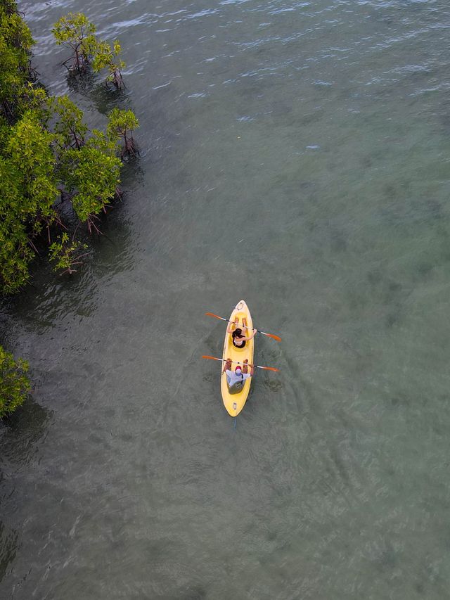 Bali | Explore the hidden part of Bali in the west🙈