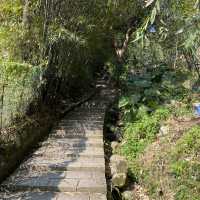 🌟台北天母｜天母古道 水管路步道 翠峰瀑布 健行親山