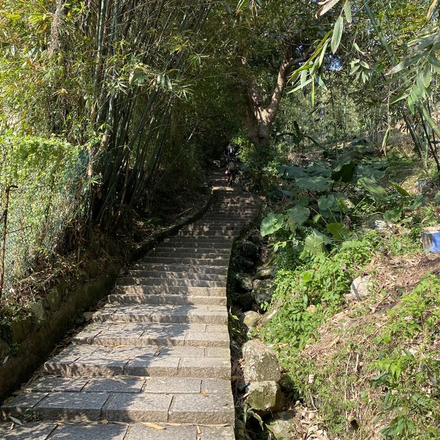 🌟台北天母｜天母古道 水管路步道 翠峰瀑布 健行親山