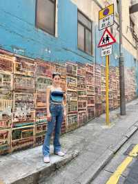 Hongkong 4Days 3Nights