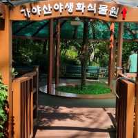 가야산야생화식물원