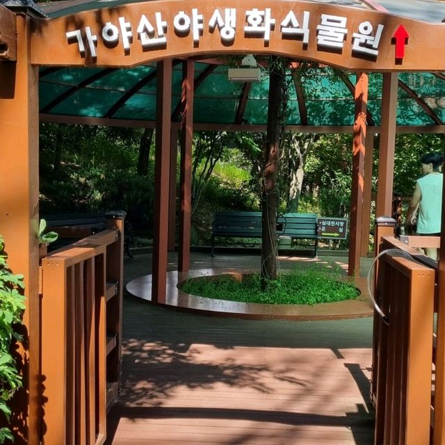 가야산야생화식물원