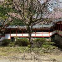 鹿児島「霧島神宮」神話と霊験あらたかな由緒ある国宝に指定された神社