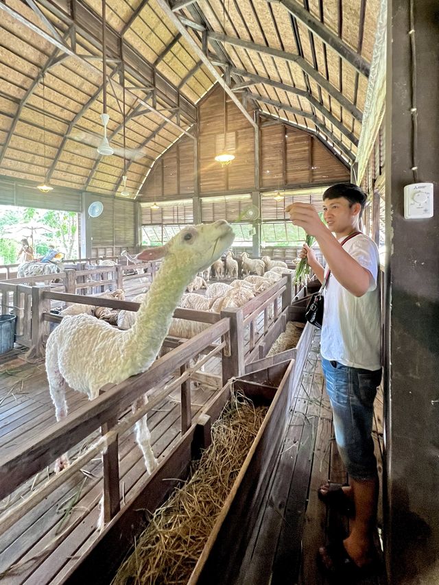 เขาใหญ่ เขาใจ หน้าฝน 🌳🌱