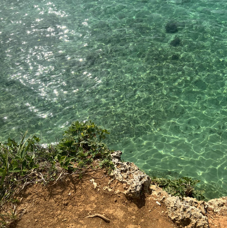 沖縄・避暑地】ザネー浜(ビーチ51) | Trip.com 恩納村
