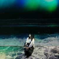 환상적인 미디어 아트 강릉 아르떼뮤지엄🌊