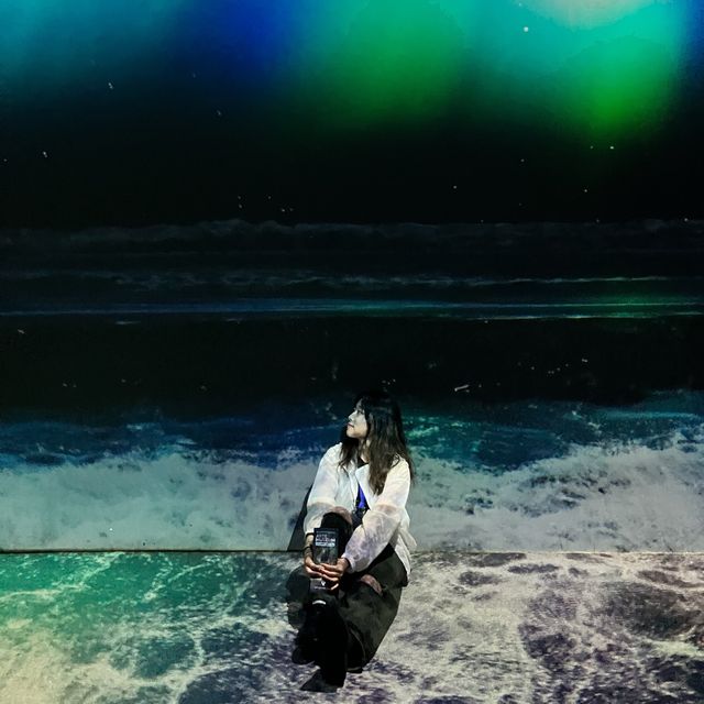 환상적인 미디어 아트 강릉 아르떼뮤지엄🌊