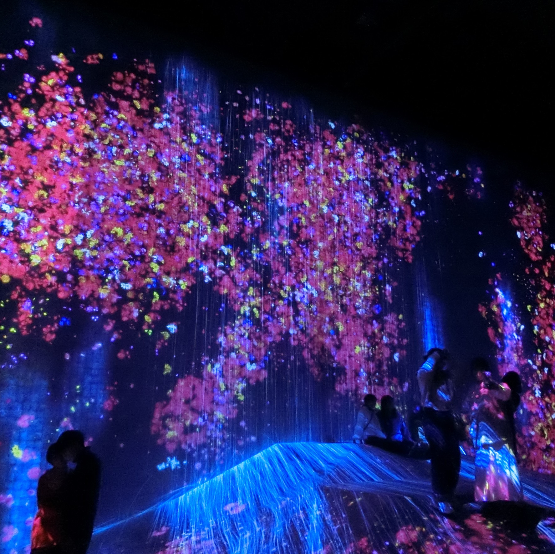 チームラボお台場はすごく幻想的✨ | Trip.com 東京