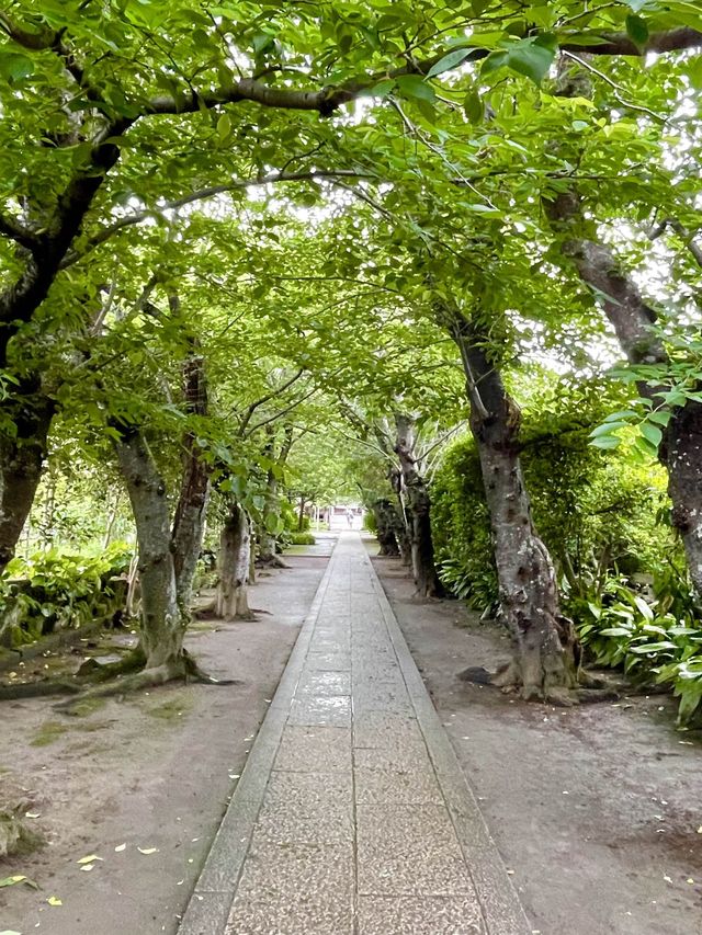 【神奈川県/極楽寺】風情ある山門に導かれる寺院