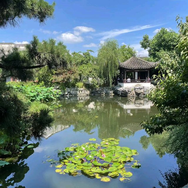 這小日子過得著實滋潤 ！中國江苏省苏州市！姑苏 ！