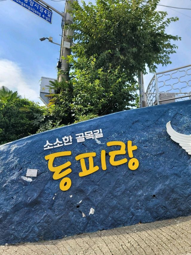 통영의 포토스팟! 알록달록 예쁜 동피랑 벽화마을🖼