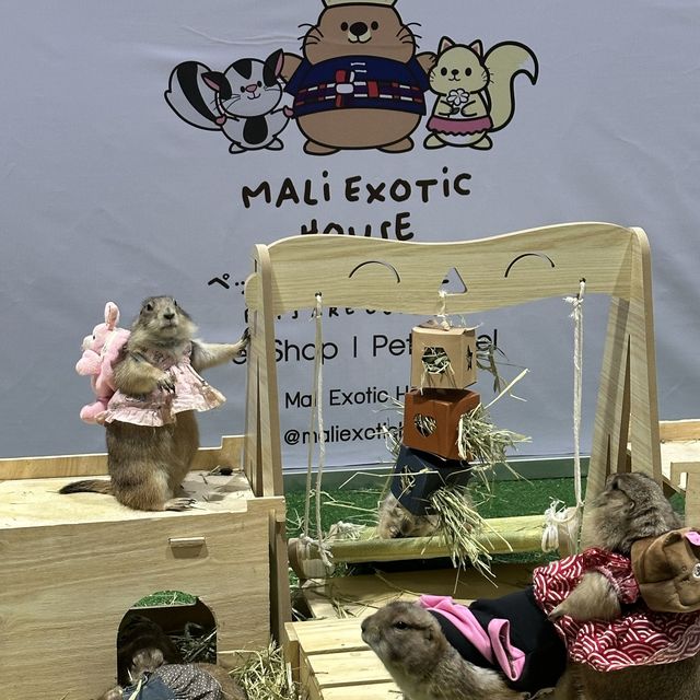 คนรักสัตว์ห้ามพลาดงาน pet expo 2023 🐕